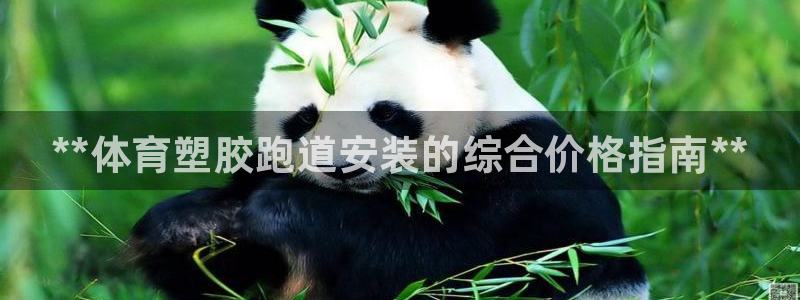 谈球吧全站app下载：**体育塑胶跑道安装的综合价格指南**