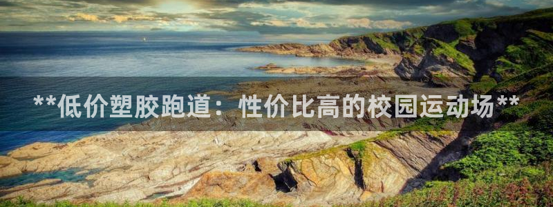 谈球吧是黑台子吗知乎小说：**低价塑胶跑道：性价比高的校园运