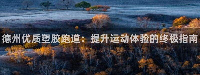 谈球吧平台正规吗可靠吗安全吗：德州优质塑胶跑道：提升