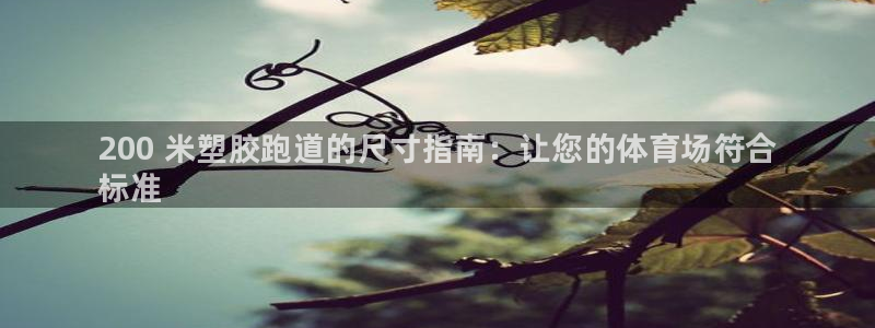 谈球吧nba：200 米塑胶跑道的尺寸指南：让您的体