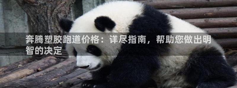 谈球吧体育app下载中心：奔腾塑胶跑道价格：详尽指南