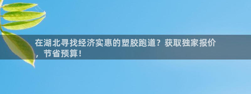 谈球吧官网app下载：在湖北寻找经济实惠的塑胶跑道？获取独家报价
，节省预算！