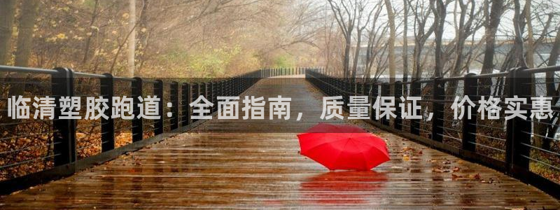 谈球吧官网下载：临清塑胶跑道：全面指南，质量保证，价