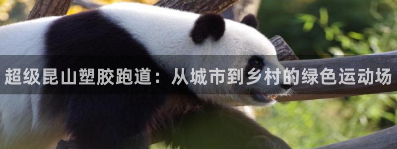 谈球吧平台正规吗