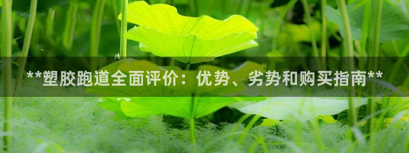 谈球吧体育app下载官网安卓：**塑胶跑道全面评价：