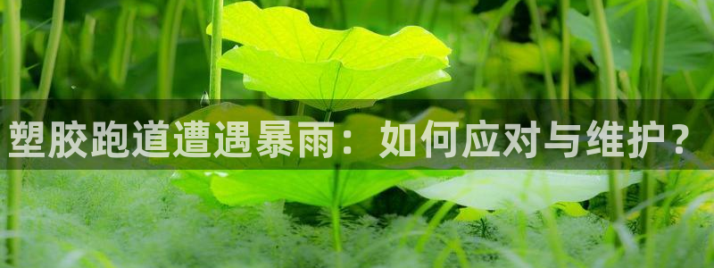 谈球吧综合官网app：塑胶跑道遭遇暴雨：如何应对与维护？