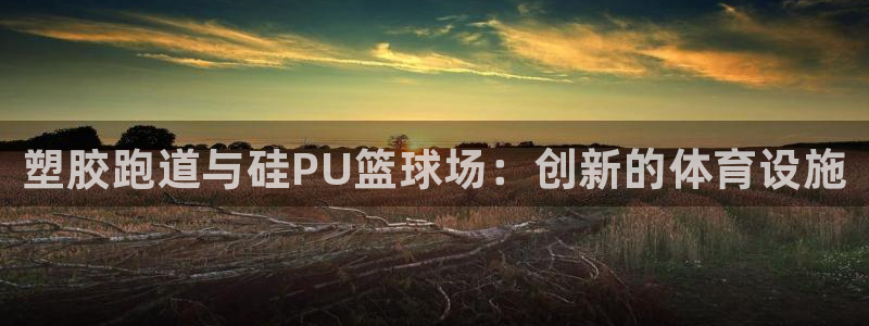 谈球吧app体育下载：塑胶跑道与硅PU篮球场：创新的体育设施