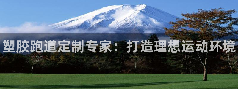 谈球吧官网在线入口网址：塑胶跑道定制专家：打造理想运动环境